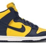 Nike Dunk High Michigan