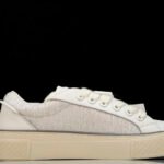 23ss Dior x Denim Tears