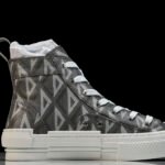 Dior B23 Oblique High